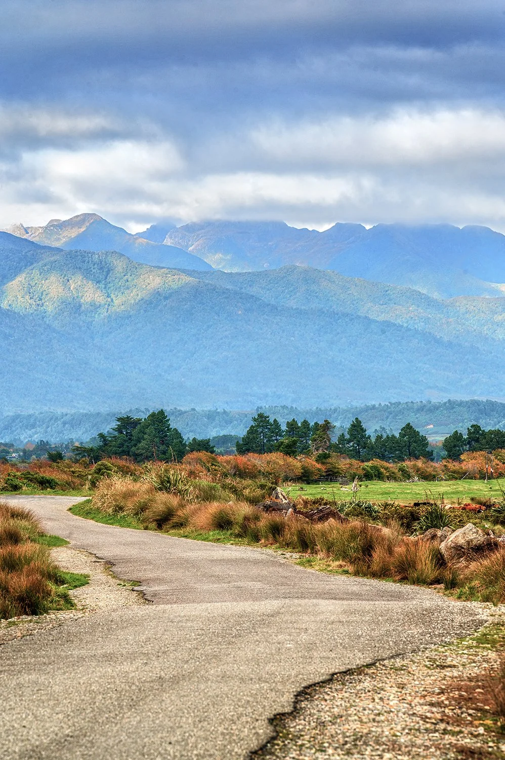 Scenic country road leading to mountains on the West Coast.