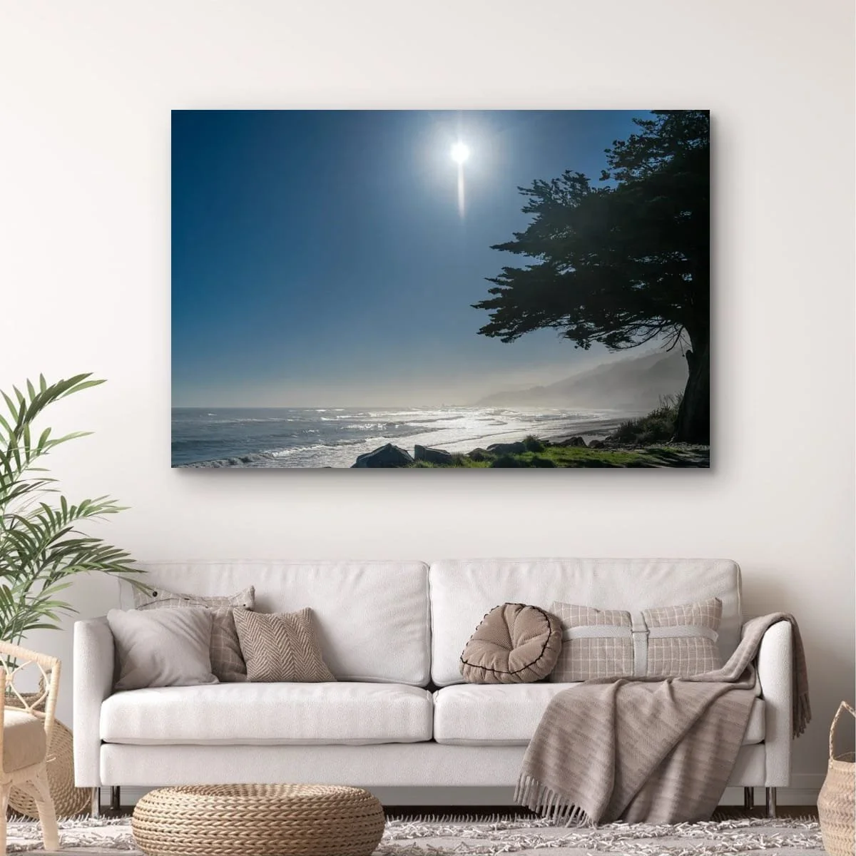 Sunlight filtering through a coastal tree above the misty Tasman Sea on the West Coast.