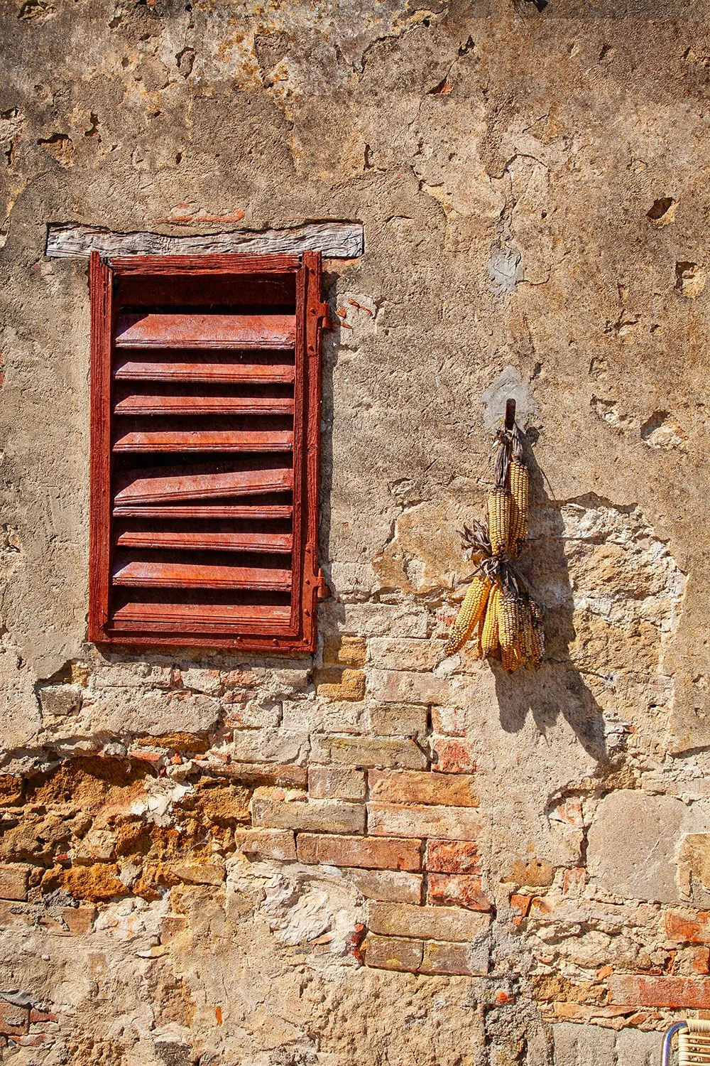 Behind The Shutter.jpg