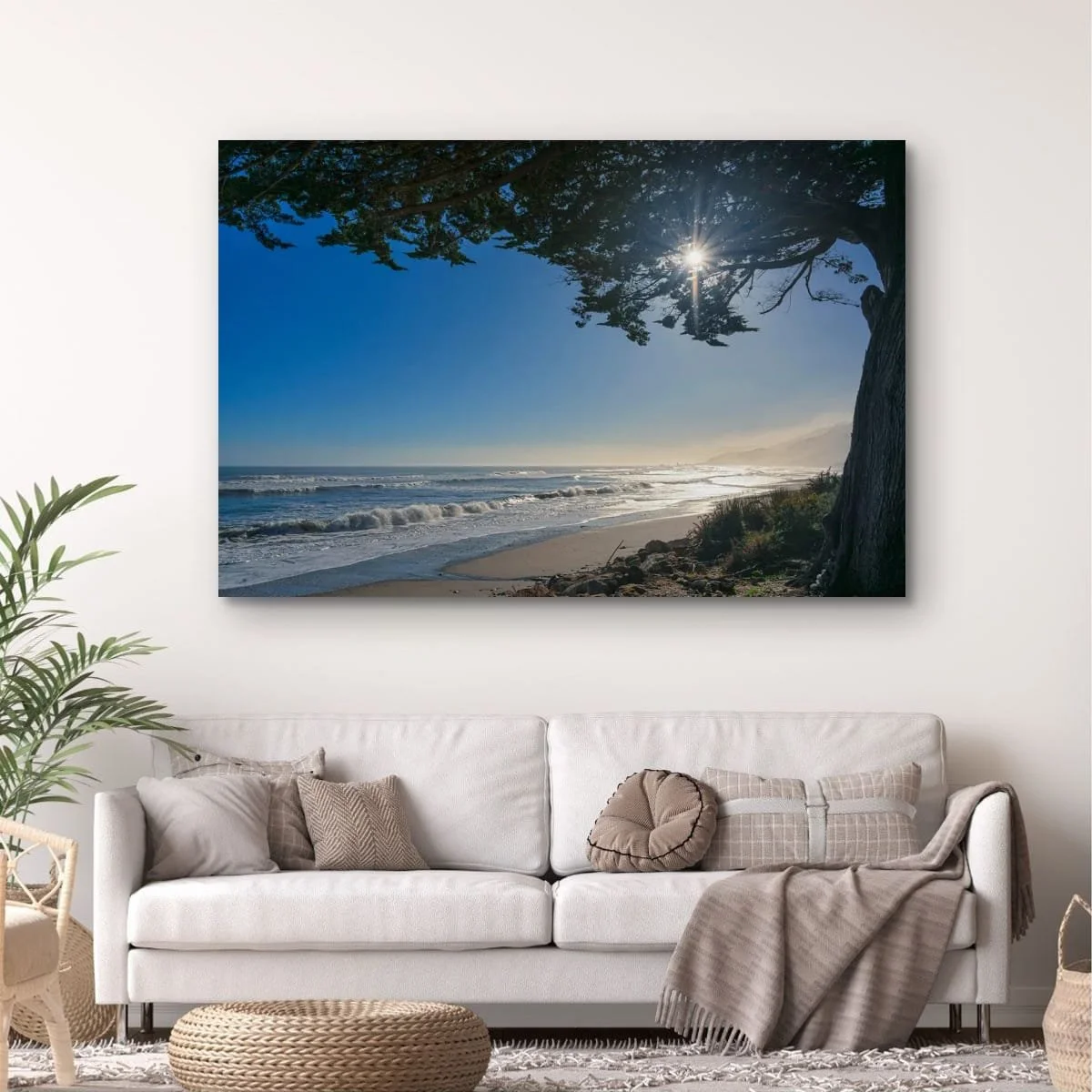 Sun rays shining through coastal tree above a misty West Coast beach.
