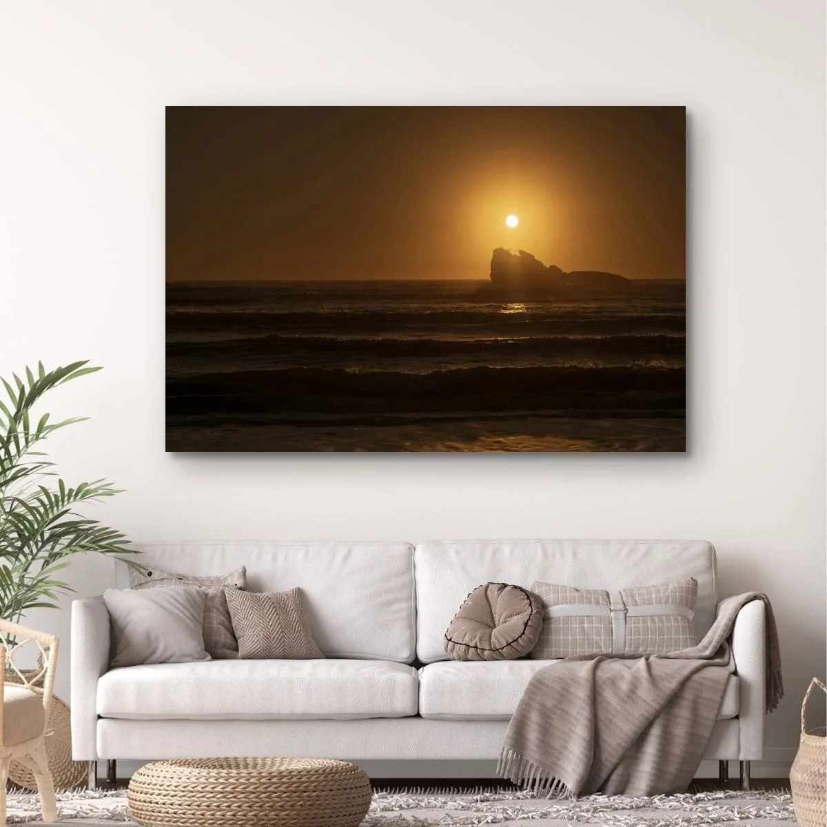 Sunlight streaming through a coastal cypress overlooking a misty West Coast beach in Buller, New Zealand.