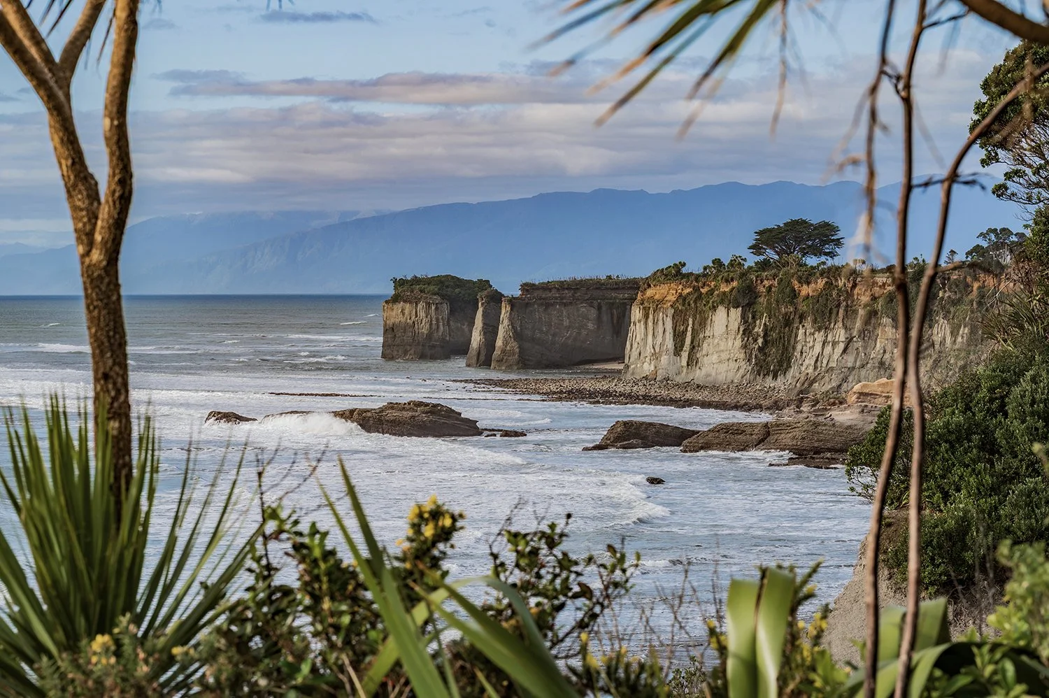 Coastal cliffs framed by native plants on the West Coast of New Zealand.