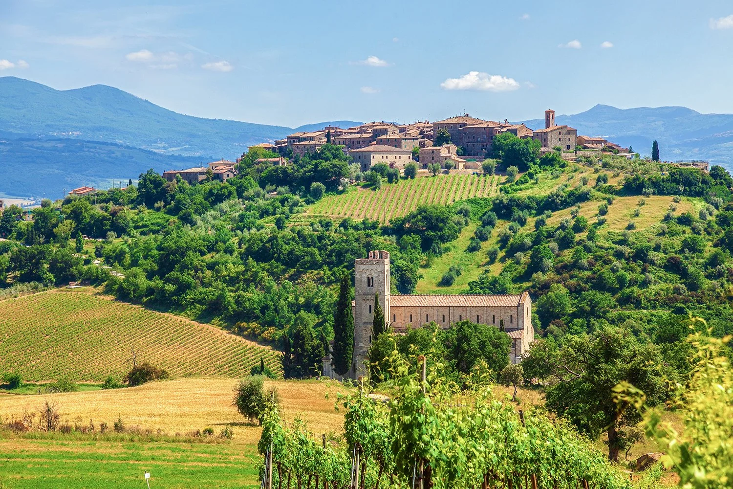 Tuscan hilltop village overlooking vineyards and countryside.