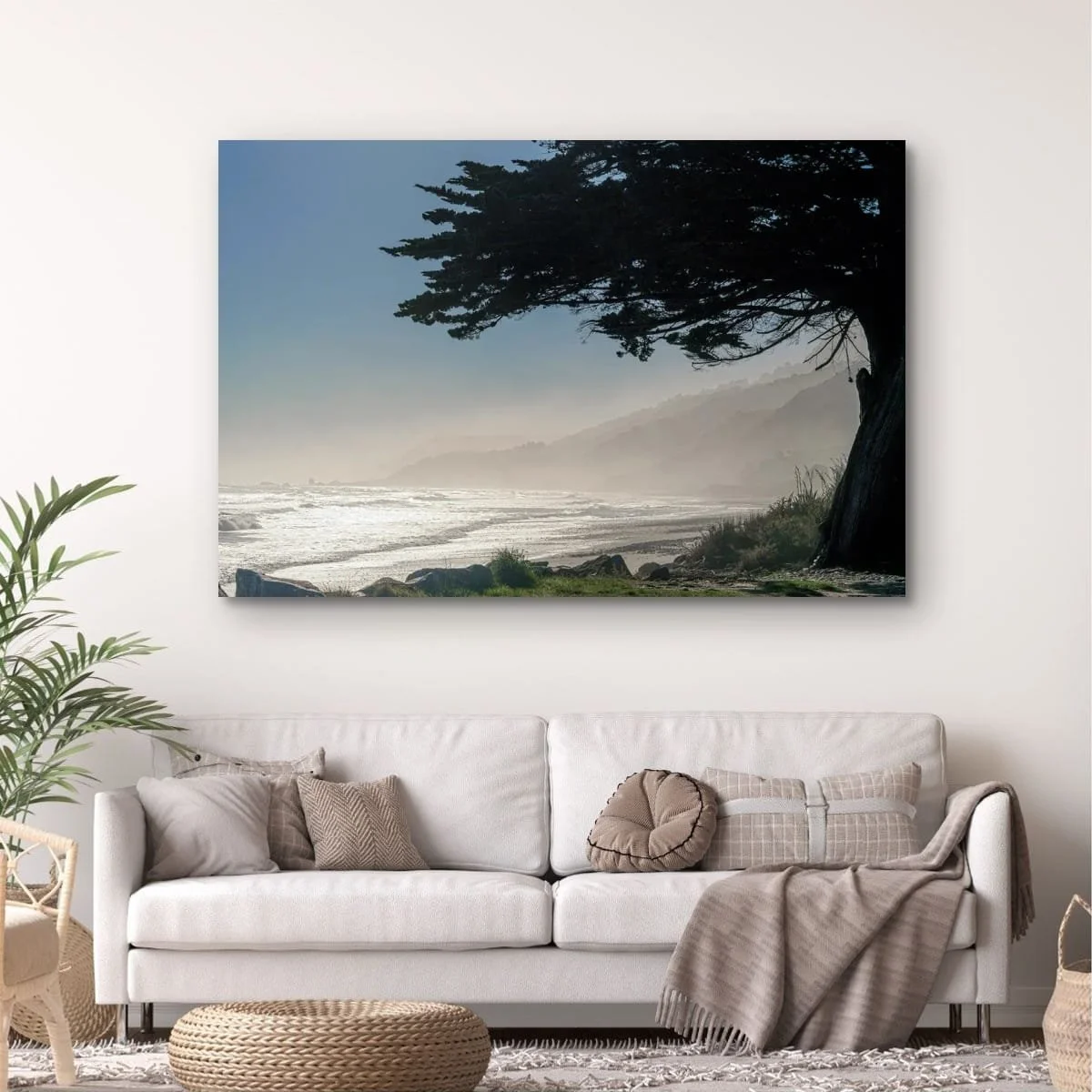 Coastal cypress overlooking misty layered shoreline on New Zealand's West Coast.