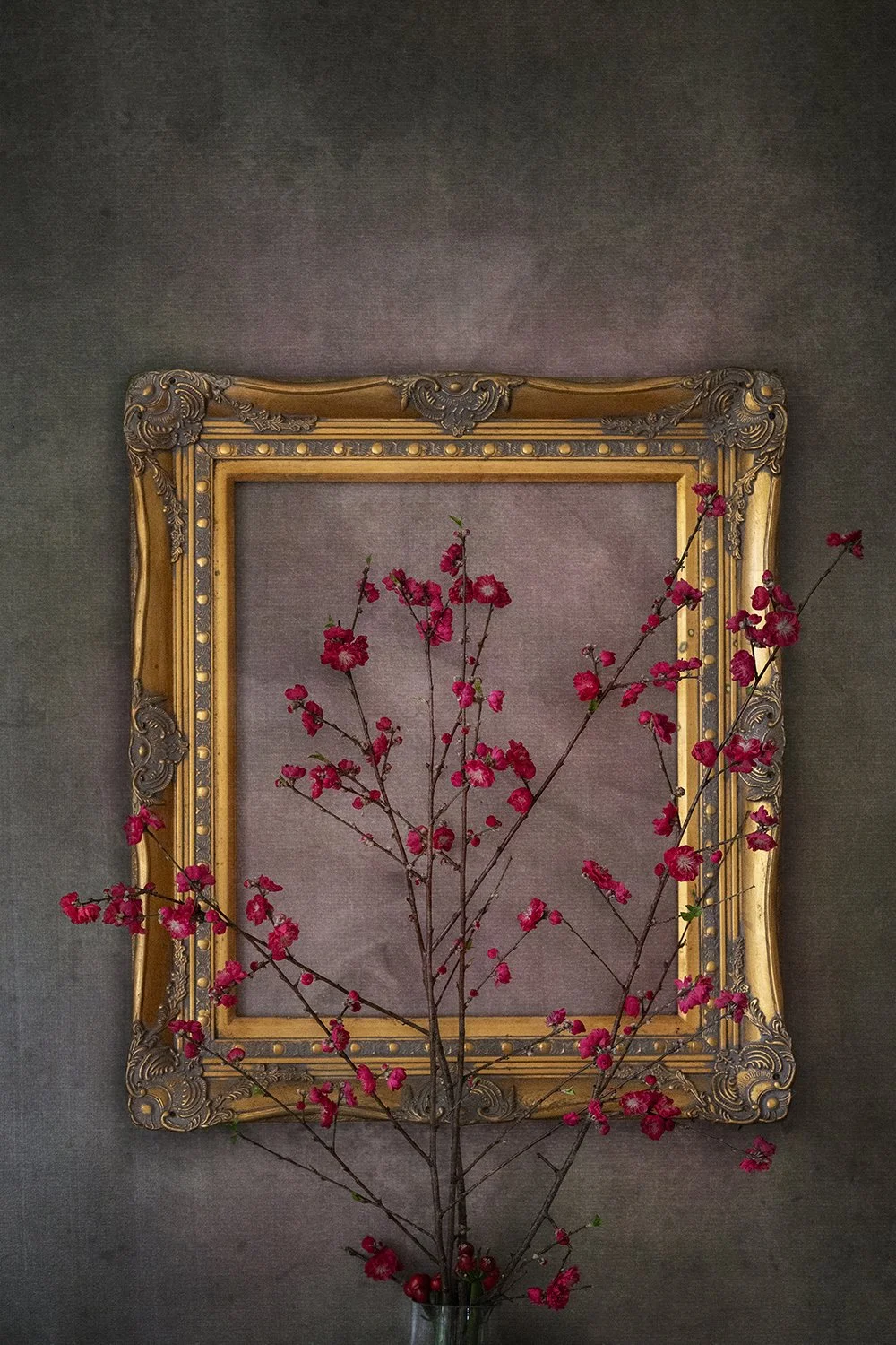 Crimson blossom branches framed by an ornate vintage frame.