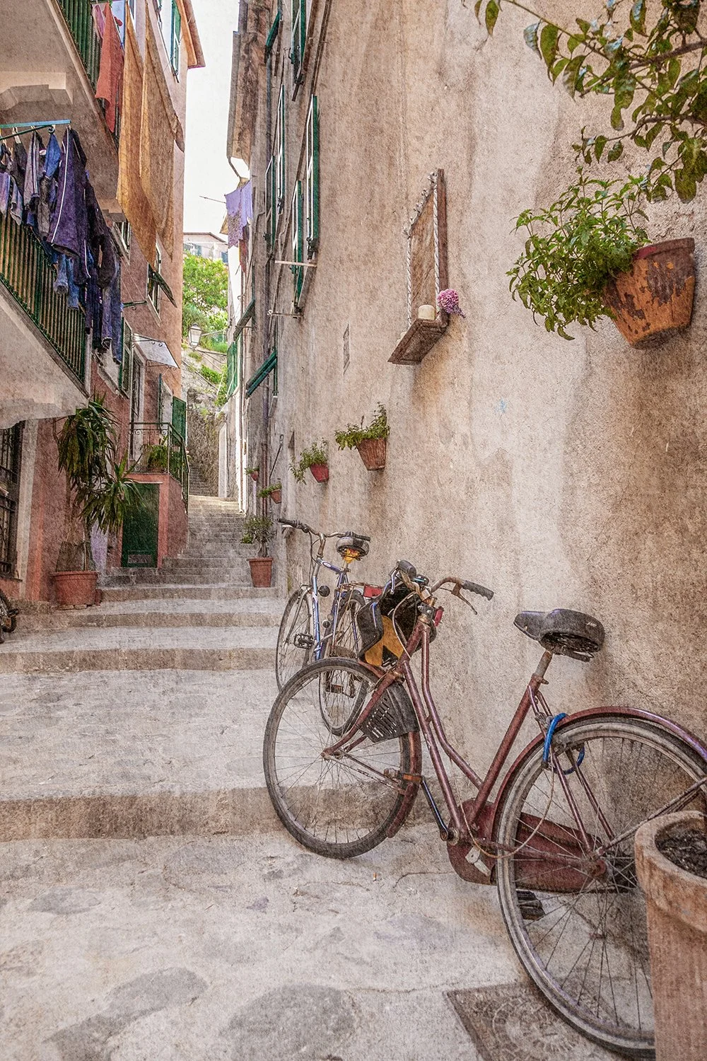 Italian laneway with bicycles, steps and flower pots.