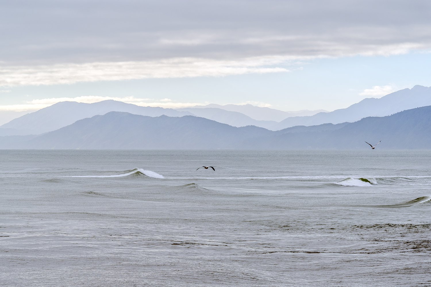 Seabirds flying above gentle waves with distant mountain ranges.