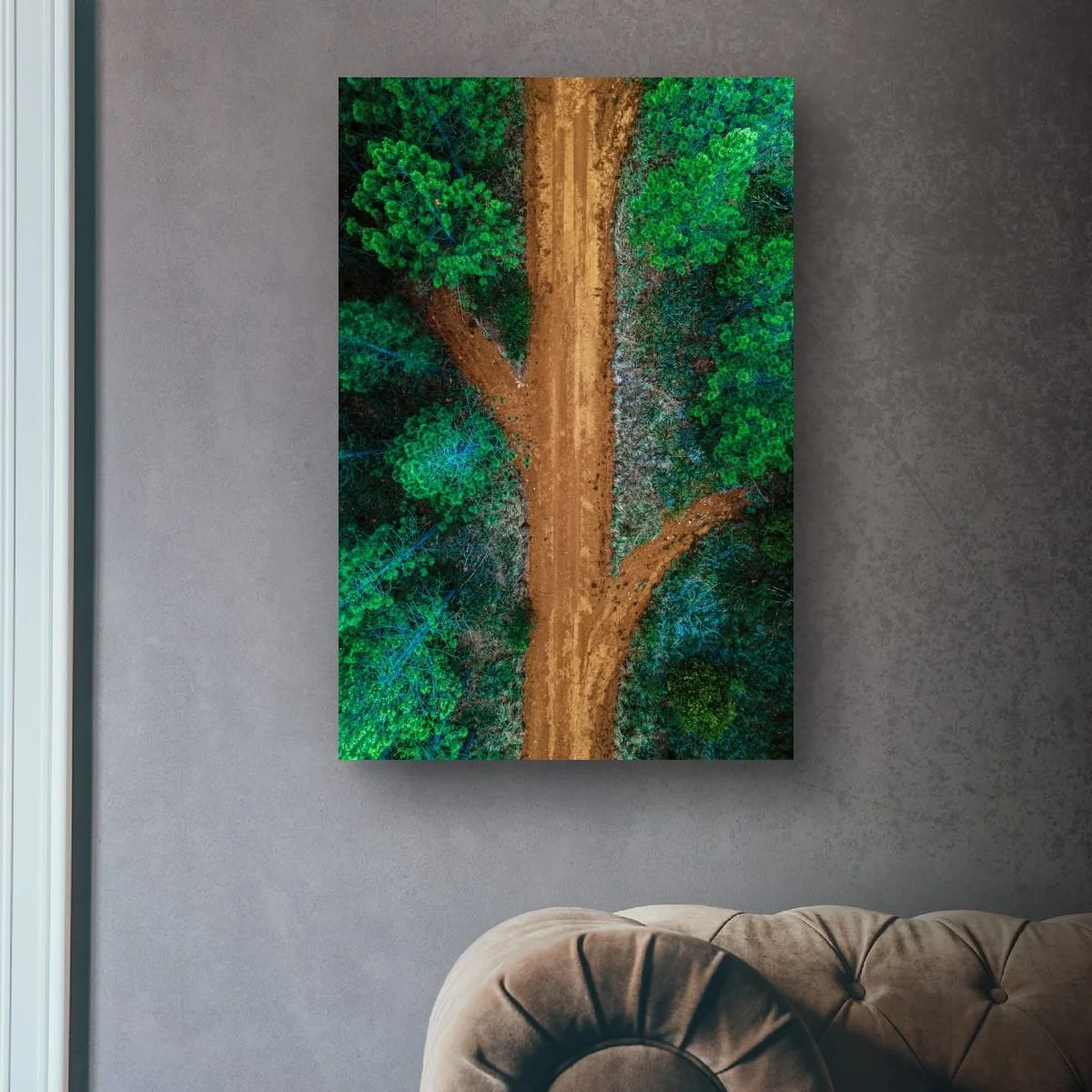 Aerial view of a forest road winding through dense green trees.