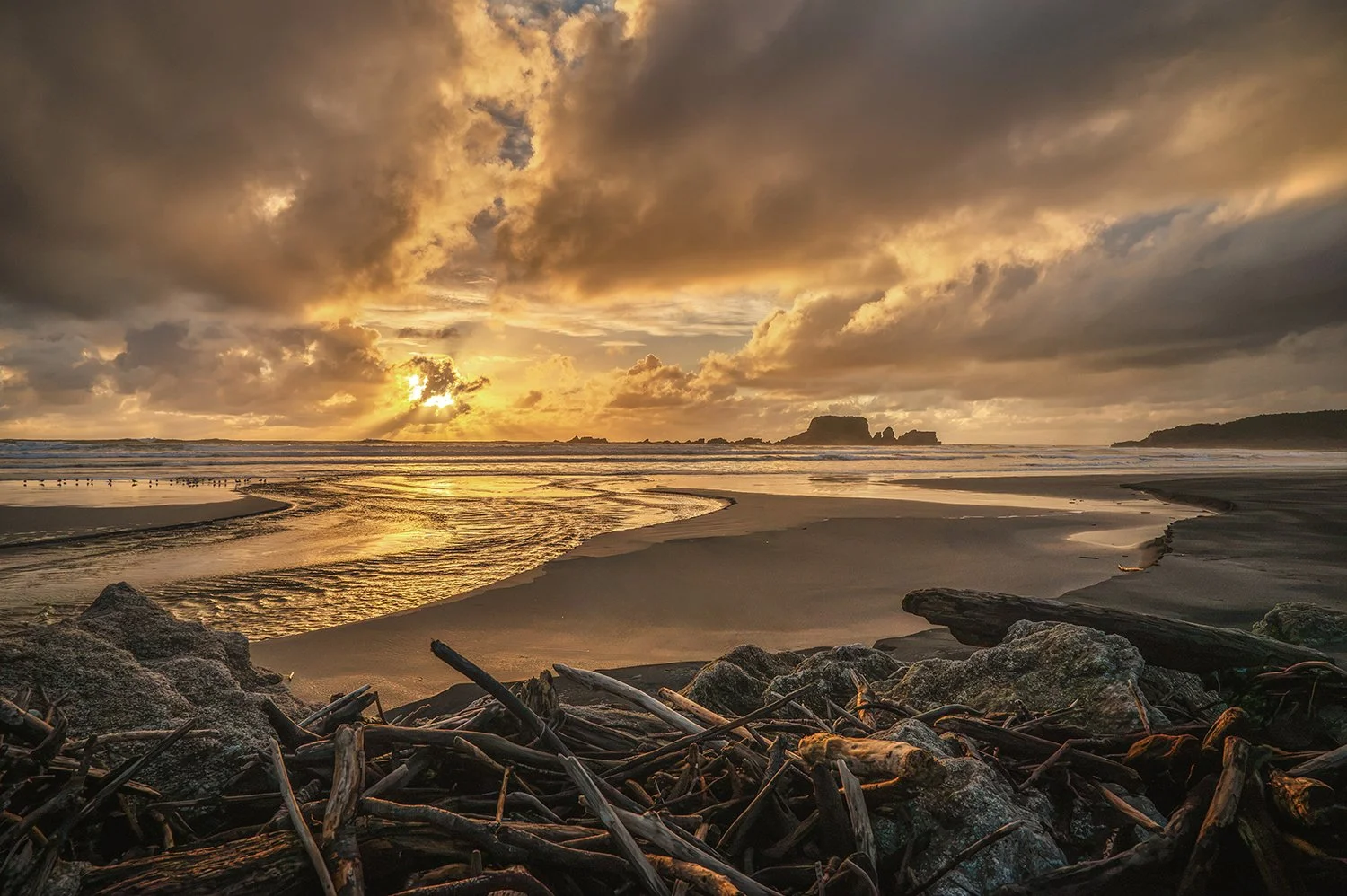 Golden sunset reflecting through a tidal stream across dark sand, driftwood and a West Coast beach.