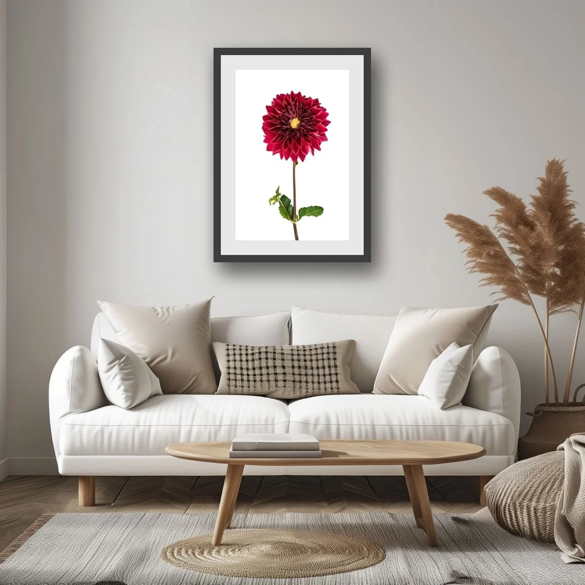 Ruby red dahlia flower isolated against a pale background.