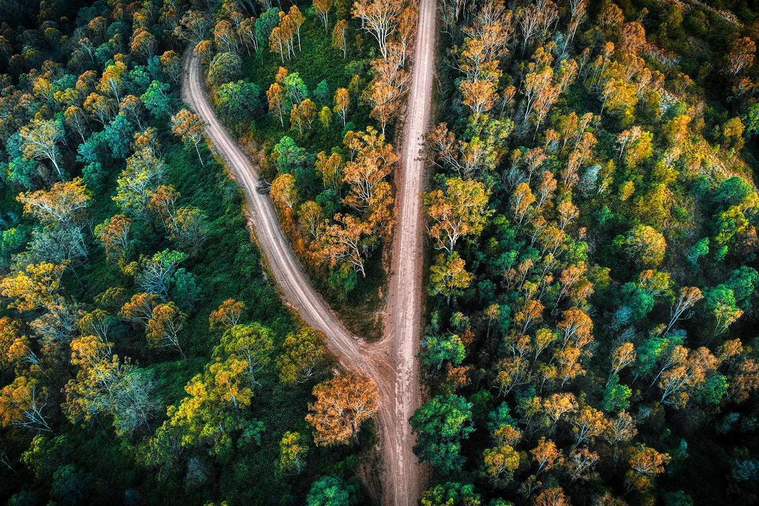 Crossroads.jpg