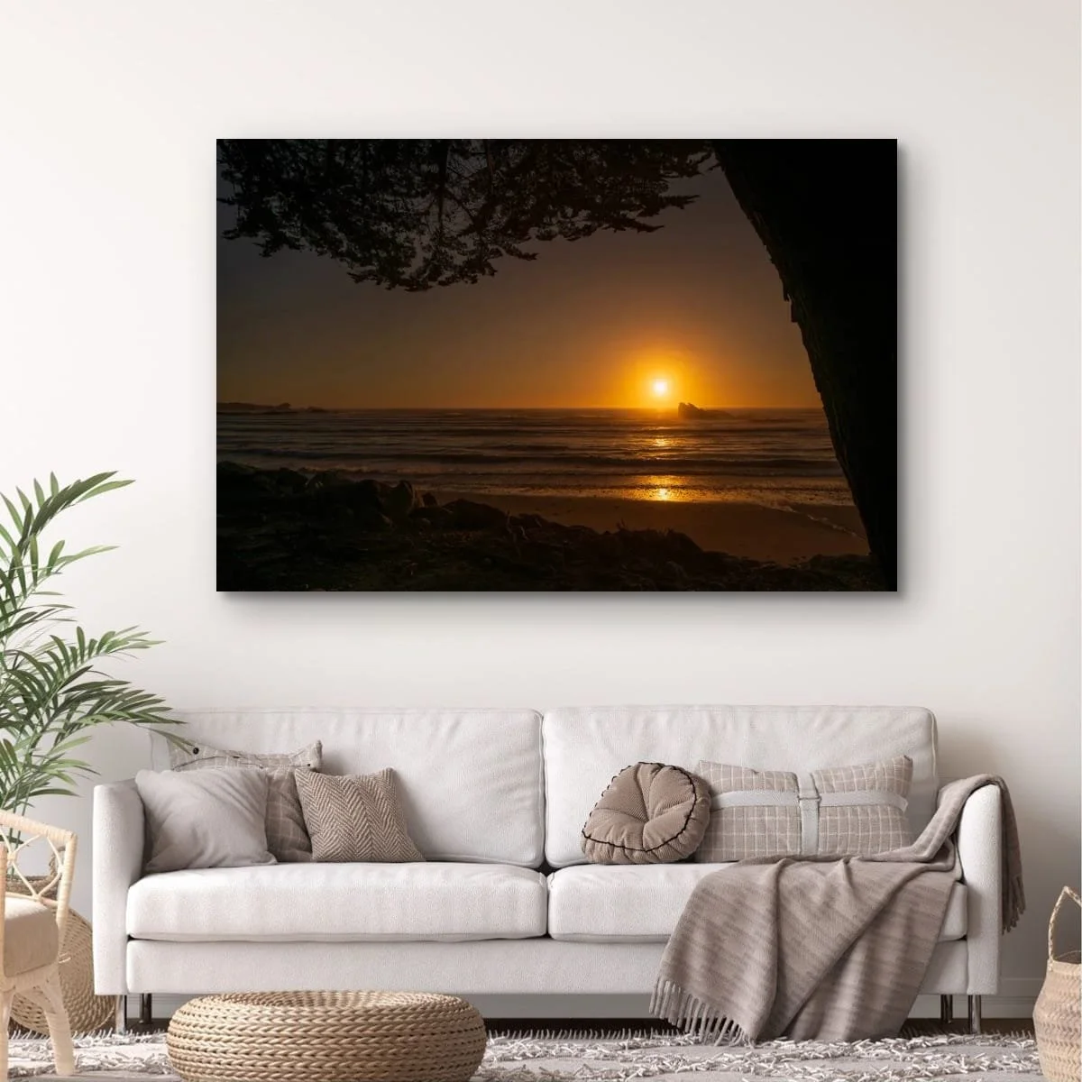 Coastal tree overlooking misty shoreline and ocean beneath bright daylight in West Coast New Zealand.
