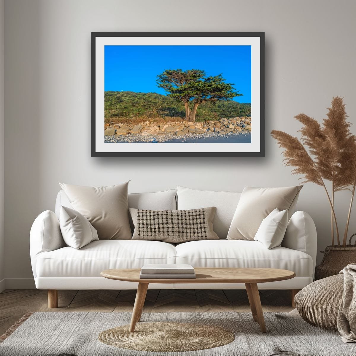 Large coastal cypress growing beside rocky shoreline on the West Coast of New Zealand.