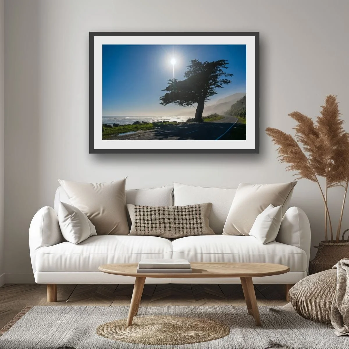 Windswept coastal cypress beside scenic coastal highway overlooking the Tasman Sea.