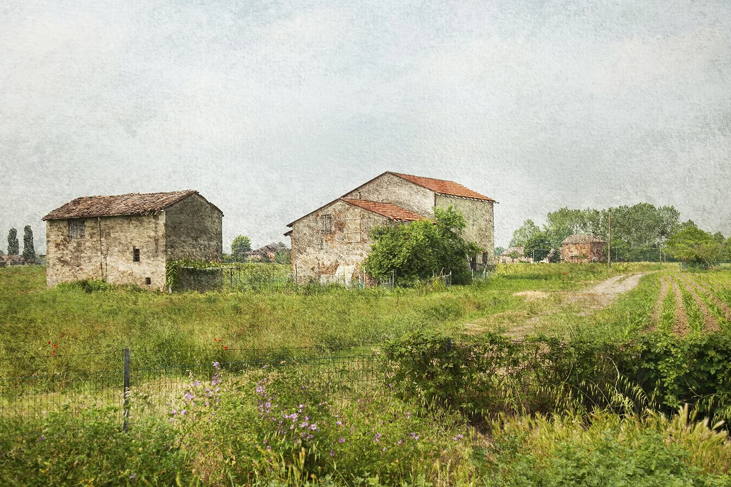 Rustic Italian farm buildings surrounded by green fields.