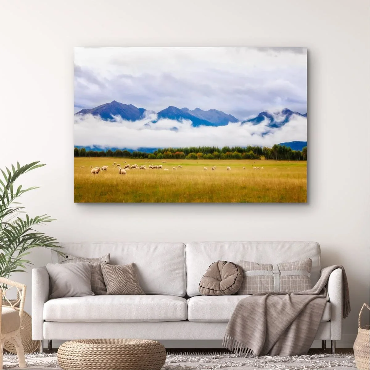Sheep grazing in a field beneath mountains and low cloud.