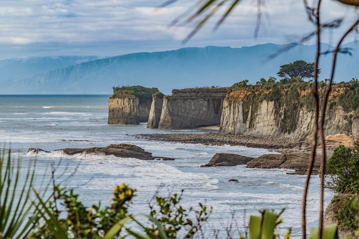 Native coastal plants framing limestone cliffs and the Tasman Sea on New Zealand's West Coast.