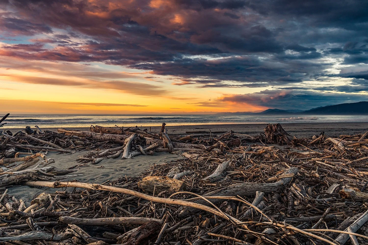 Driftwood Hour