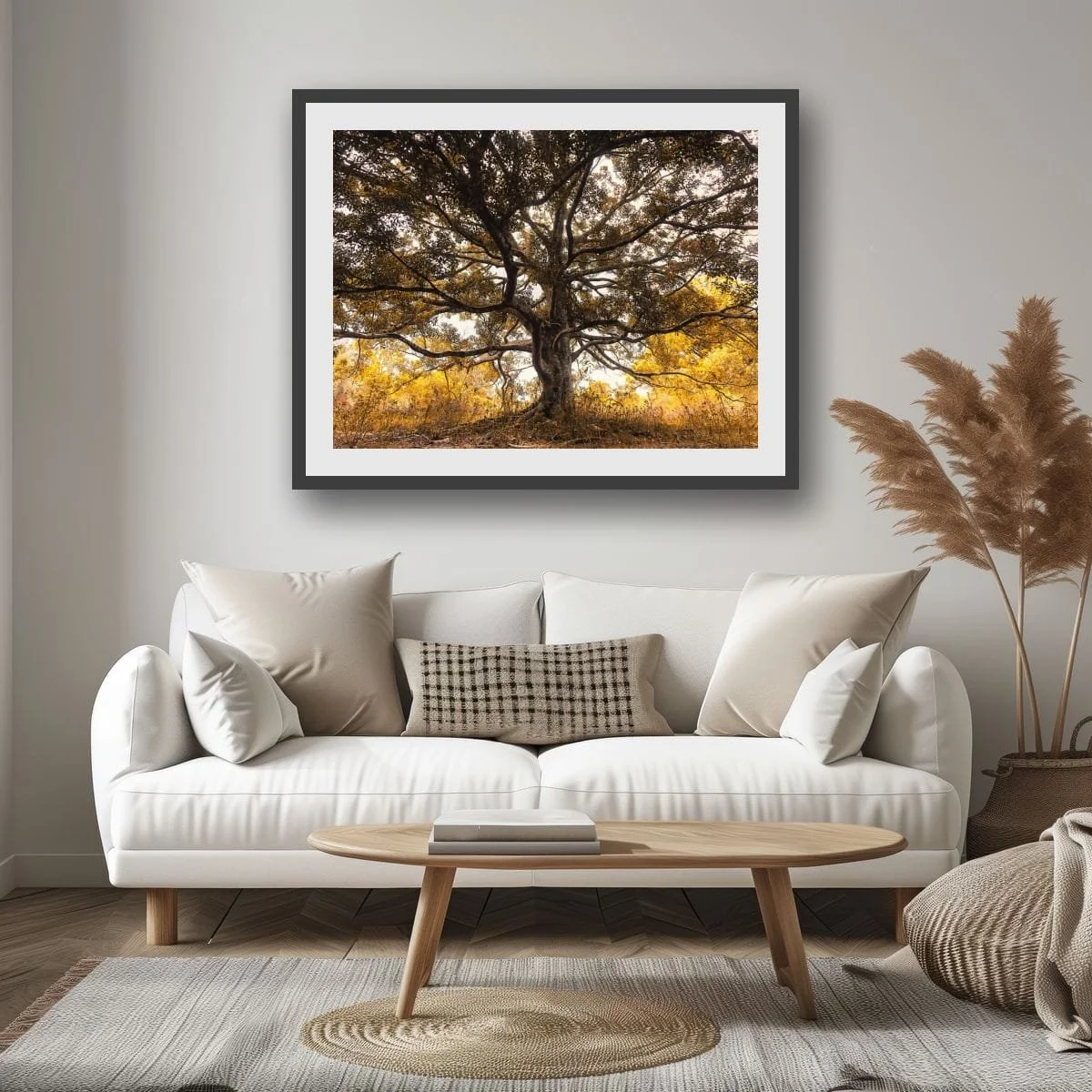 Large mature tree with sprawling branches in golden light.