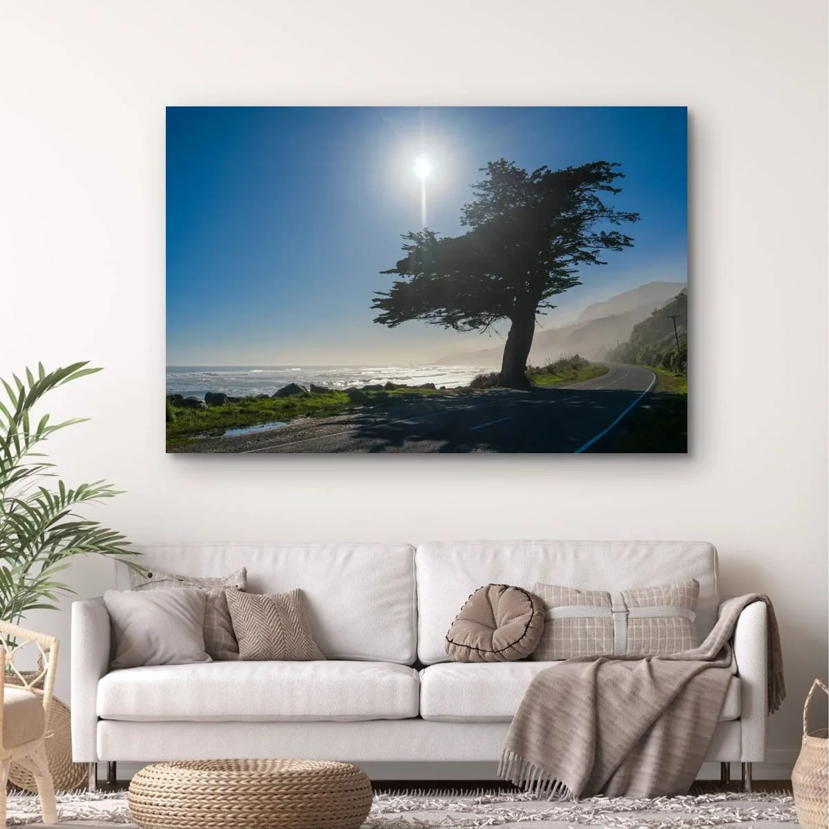 Windswept coastal cypress beside scenic coastal highway overlooking the Tasman Sea.