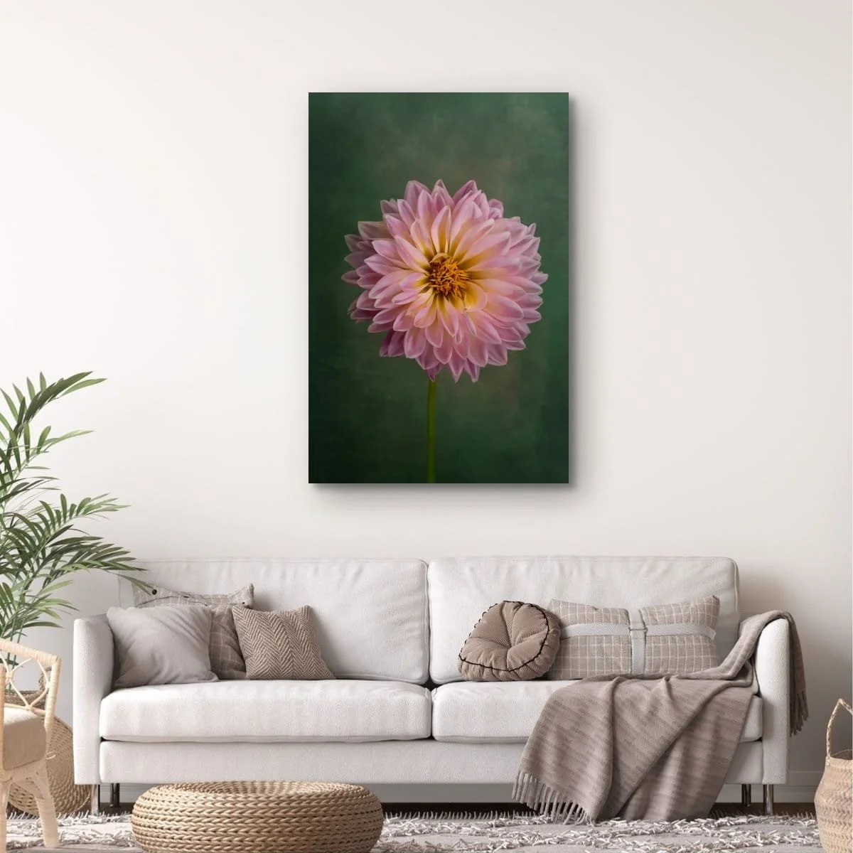 Dahlia Delight2.jpeg