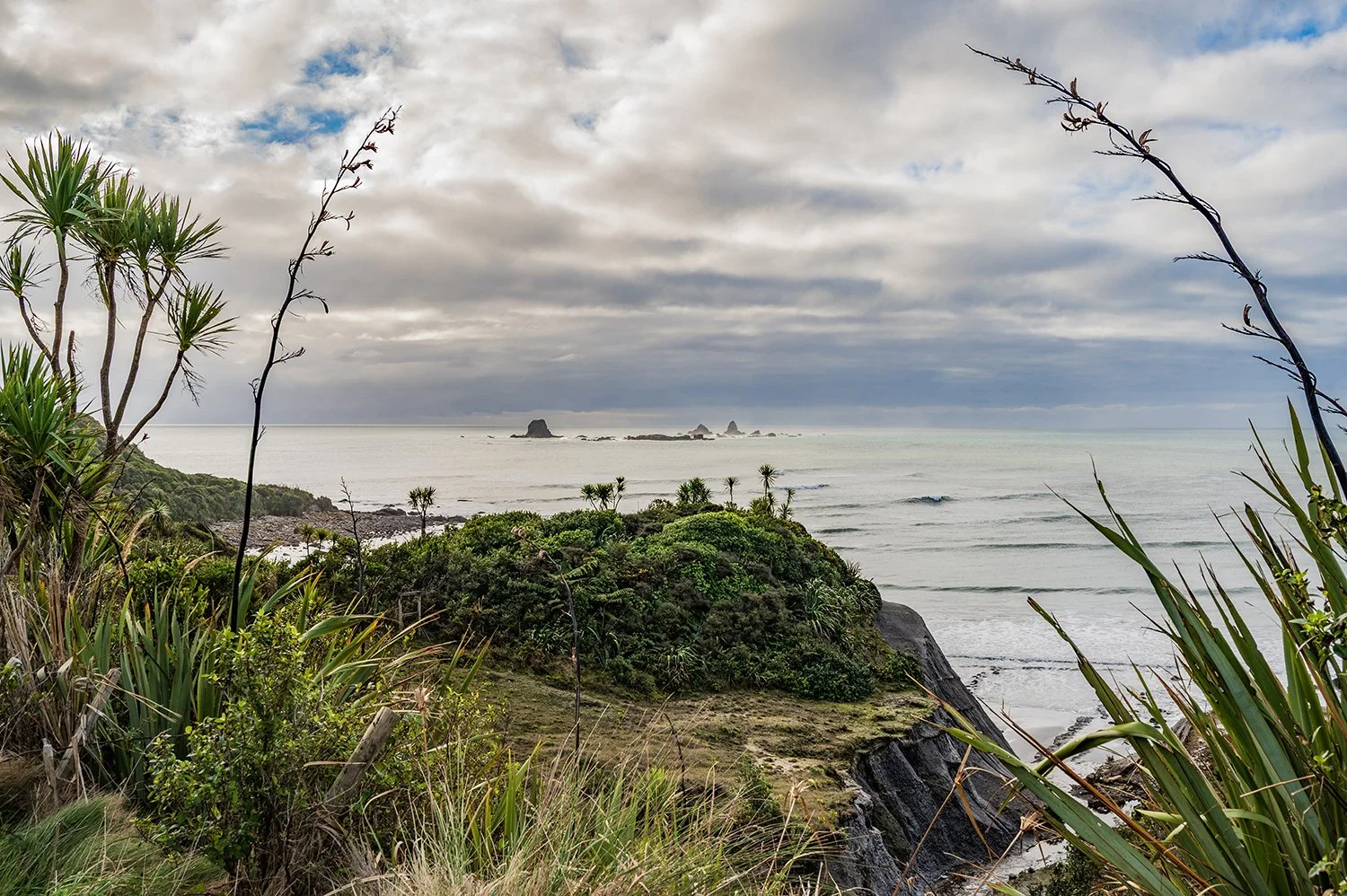 Hidden coastal lookout overlooking cliffs and the Tasman Sea.