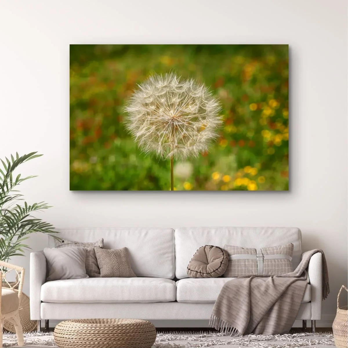 Close-up photograph of a dandelion seed head in a meadow.