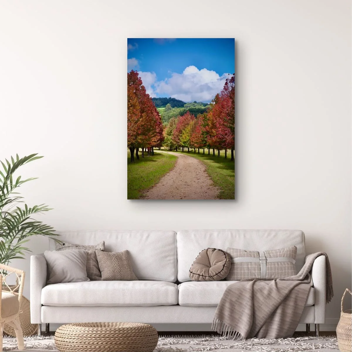 Tree-lined country lane displaying vibrant autumn foliage.