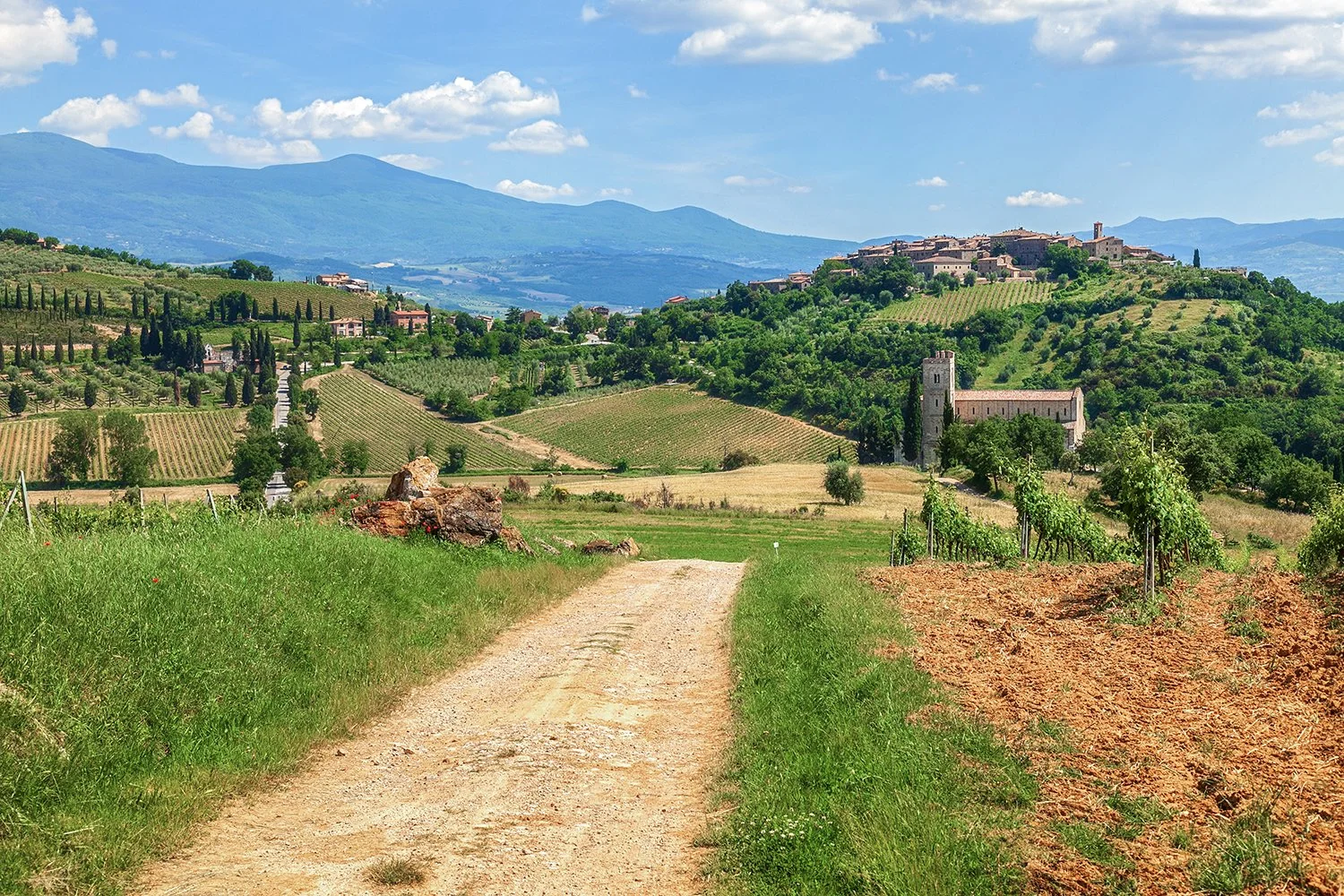 Rolling Tuscan hills with vineyards and historic hilltop village.