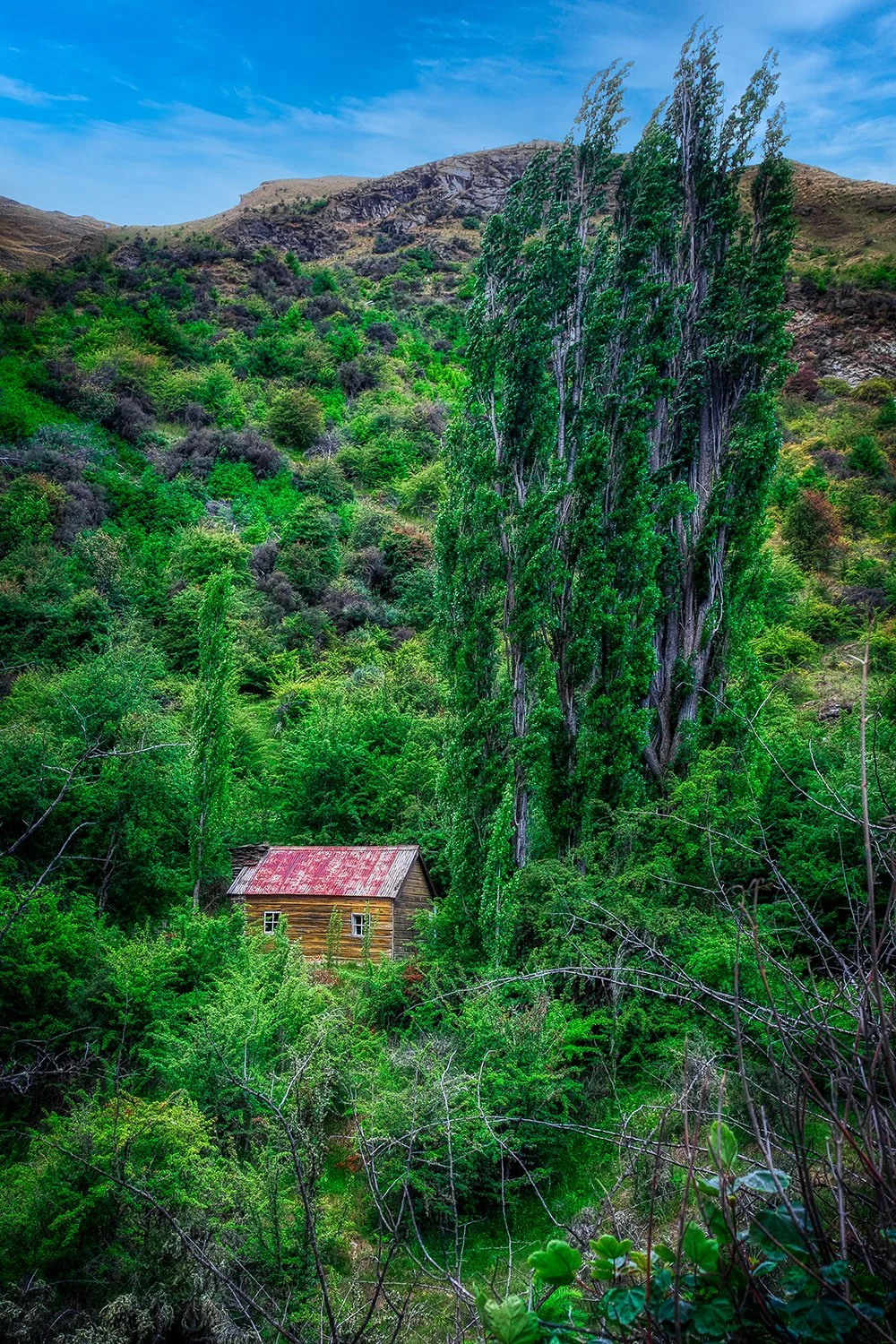 Miners Hut.jpg