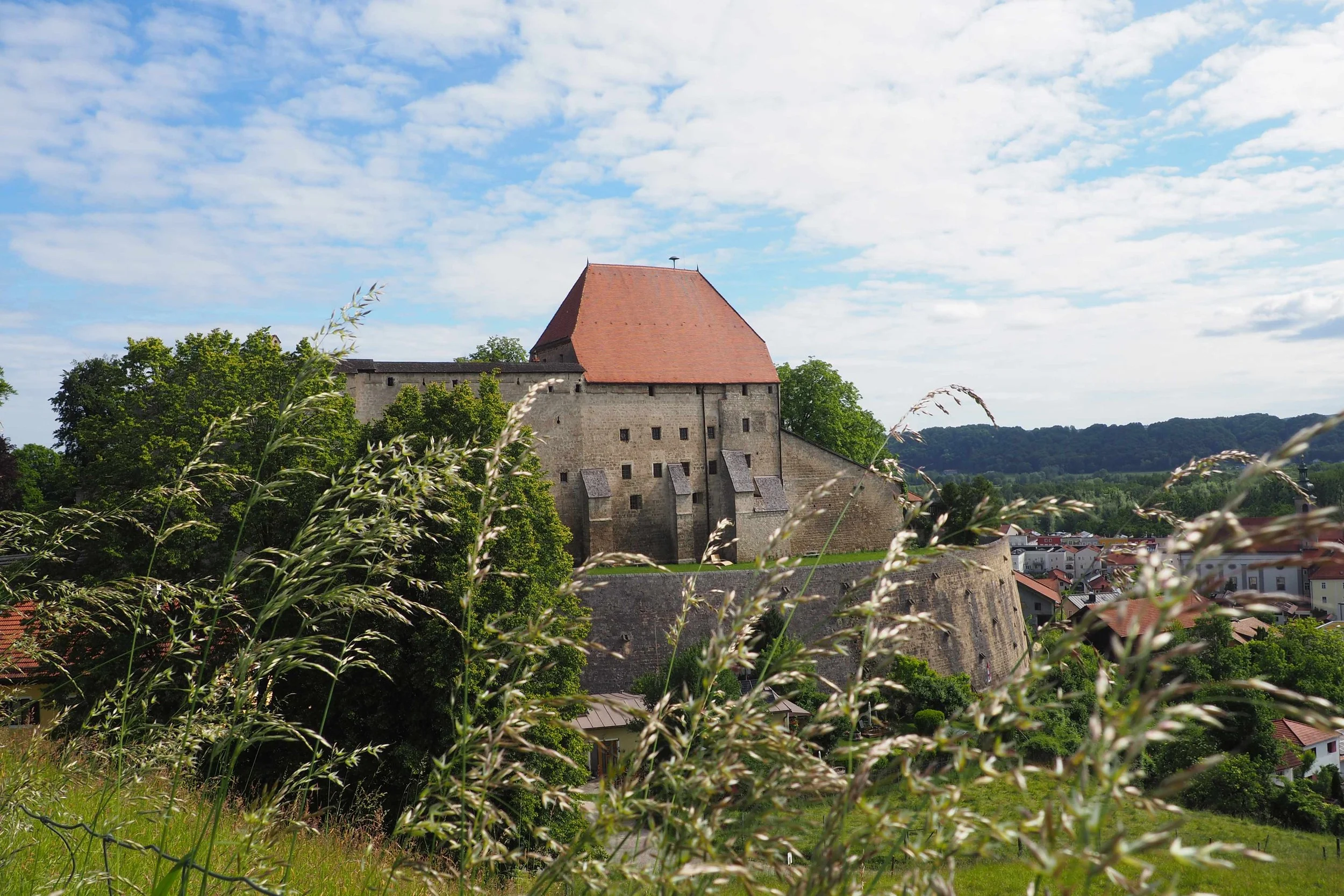 Historische Burg auf einem Hügel, umgeben von grünen Bäumen, mit einem blauen Himmel und Wolken im Hintergrund.