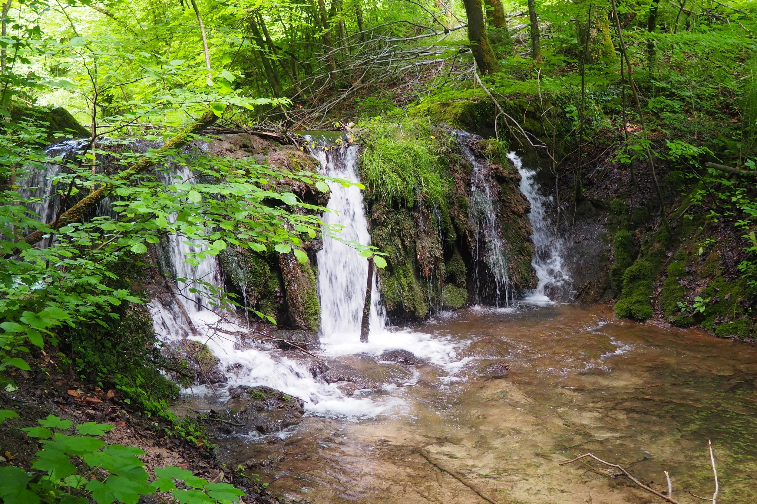 ferienwohnung-burg-tittmoning-ponlachwald-wasserfall.JPG