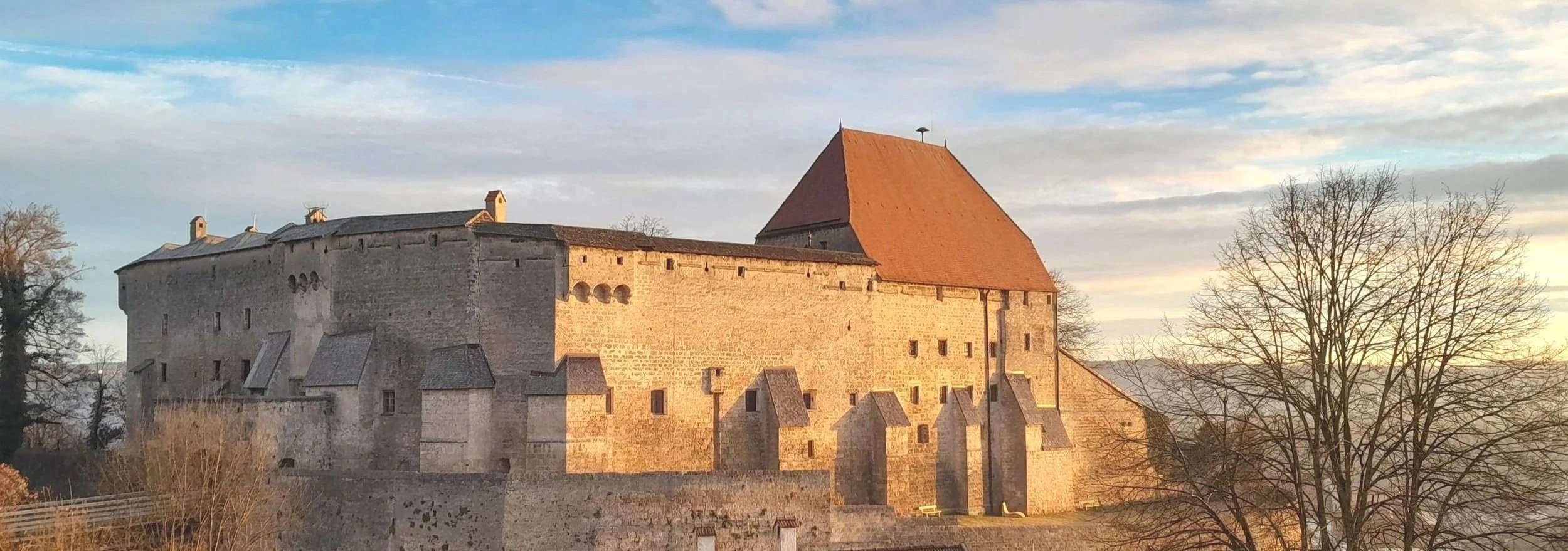 Ein mittelalterliches Schloss mit steilem roten Dach, umgeben von Bäumen, bei Sonnenuntergang.