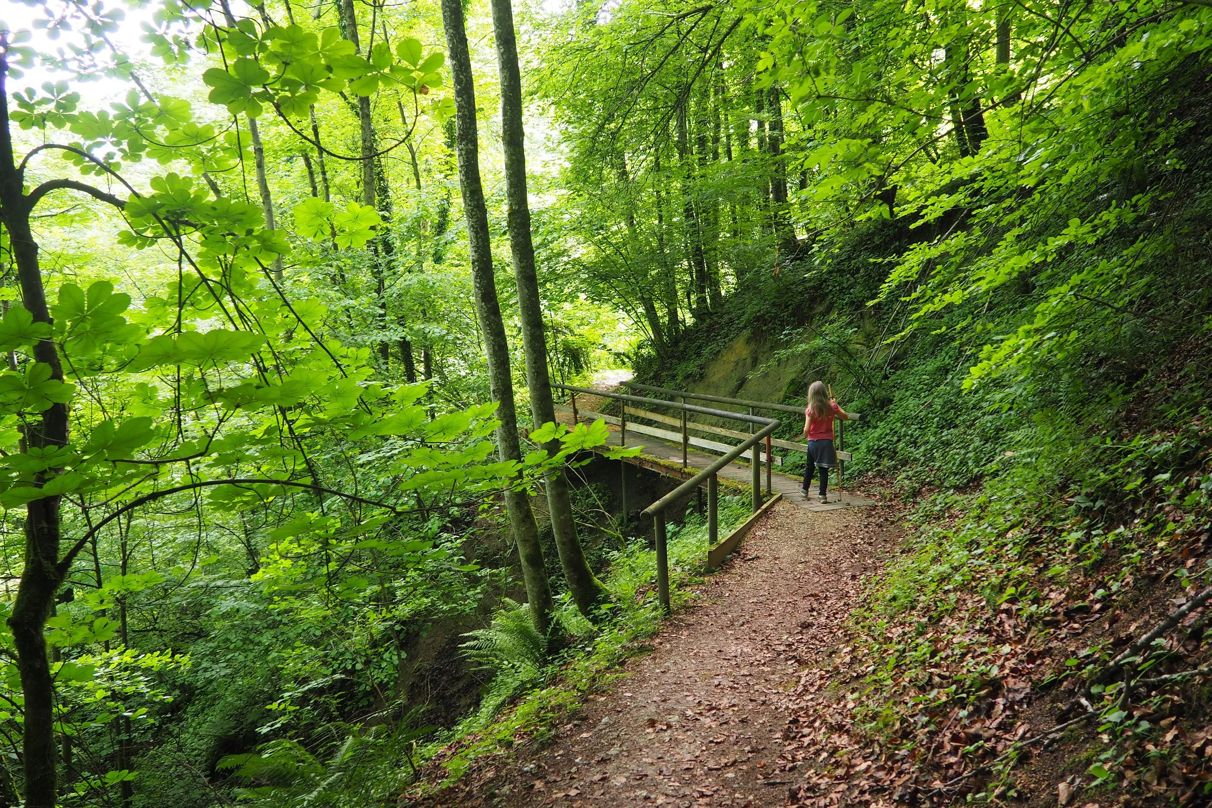 ferienwohnung-burg-tittmoning-ponlachwald-weg.JPG