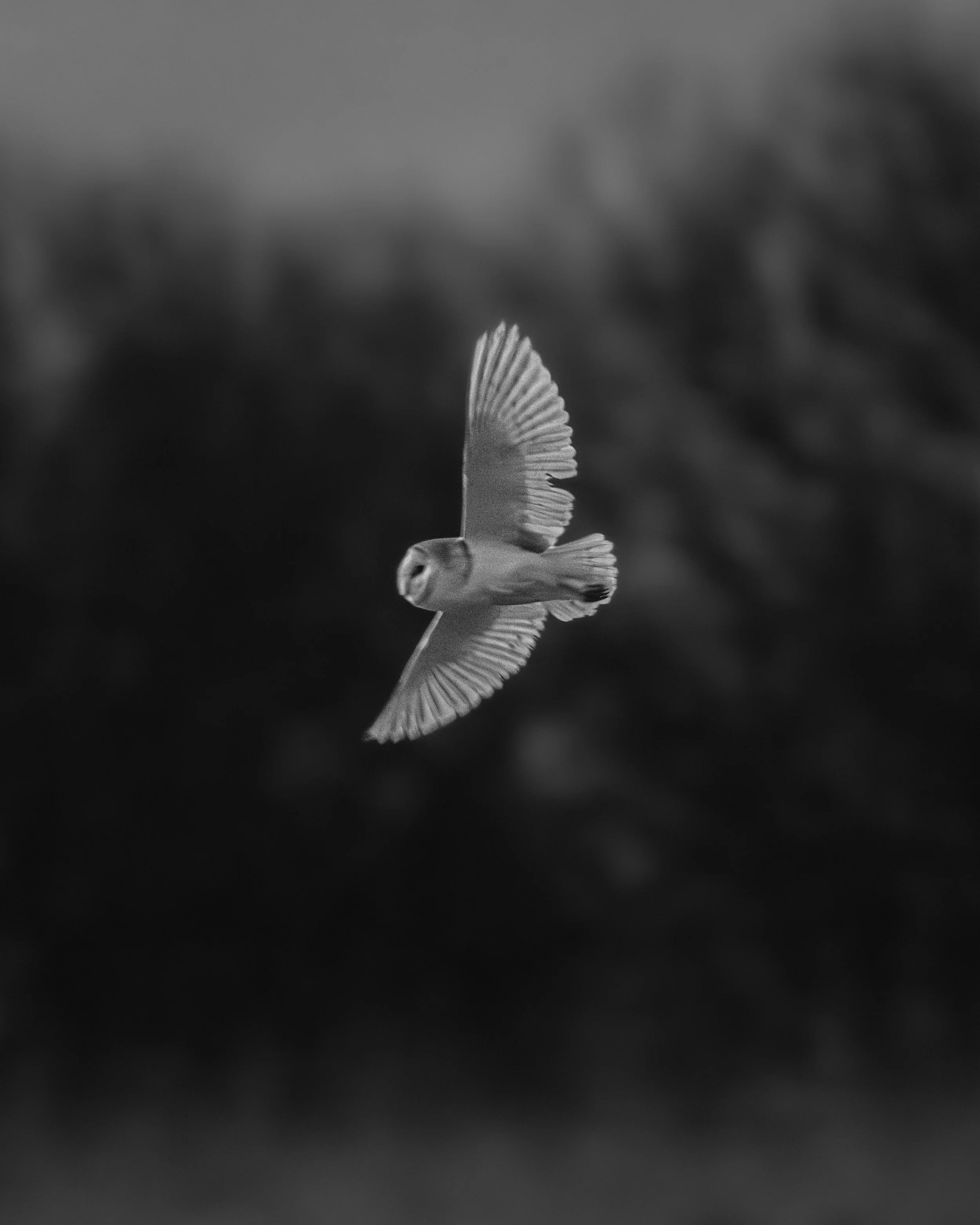 20260214-DSC_0514.jpg