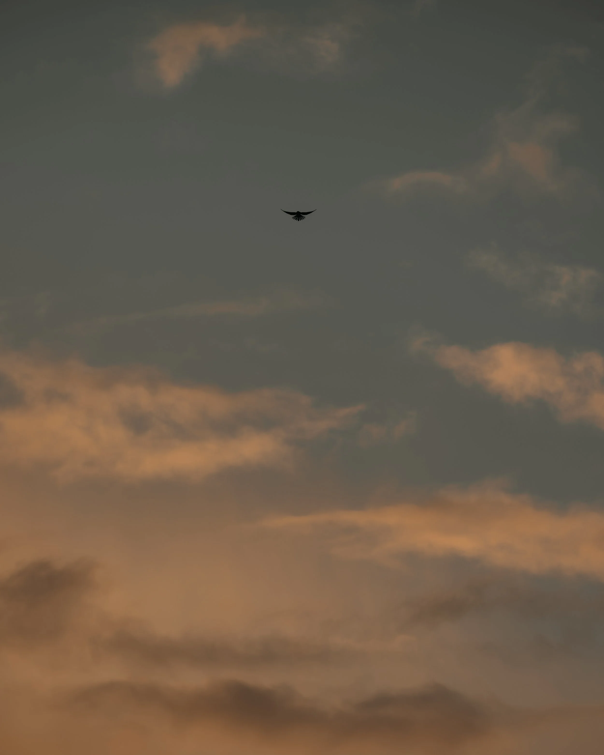 20260214-DSC_1410.jpg