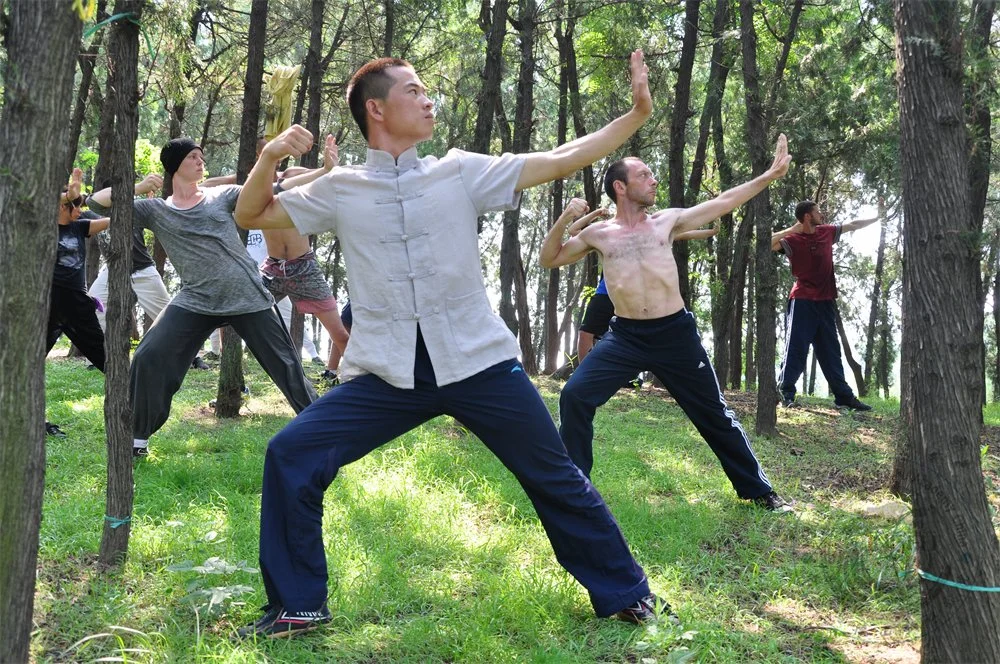 A group of people practicing Tai Chi in a wooded outdoor area, performing slow, deliberate movements.