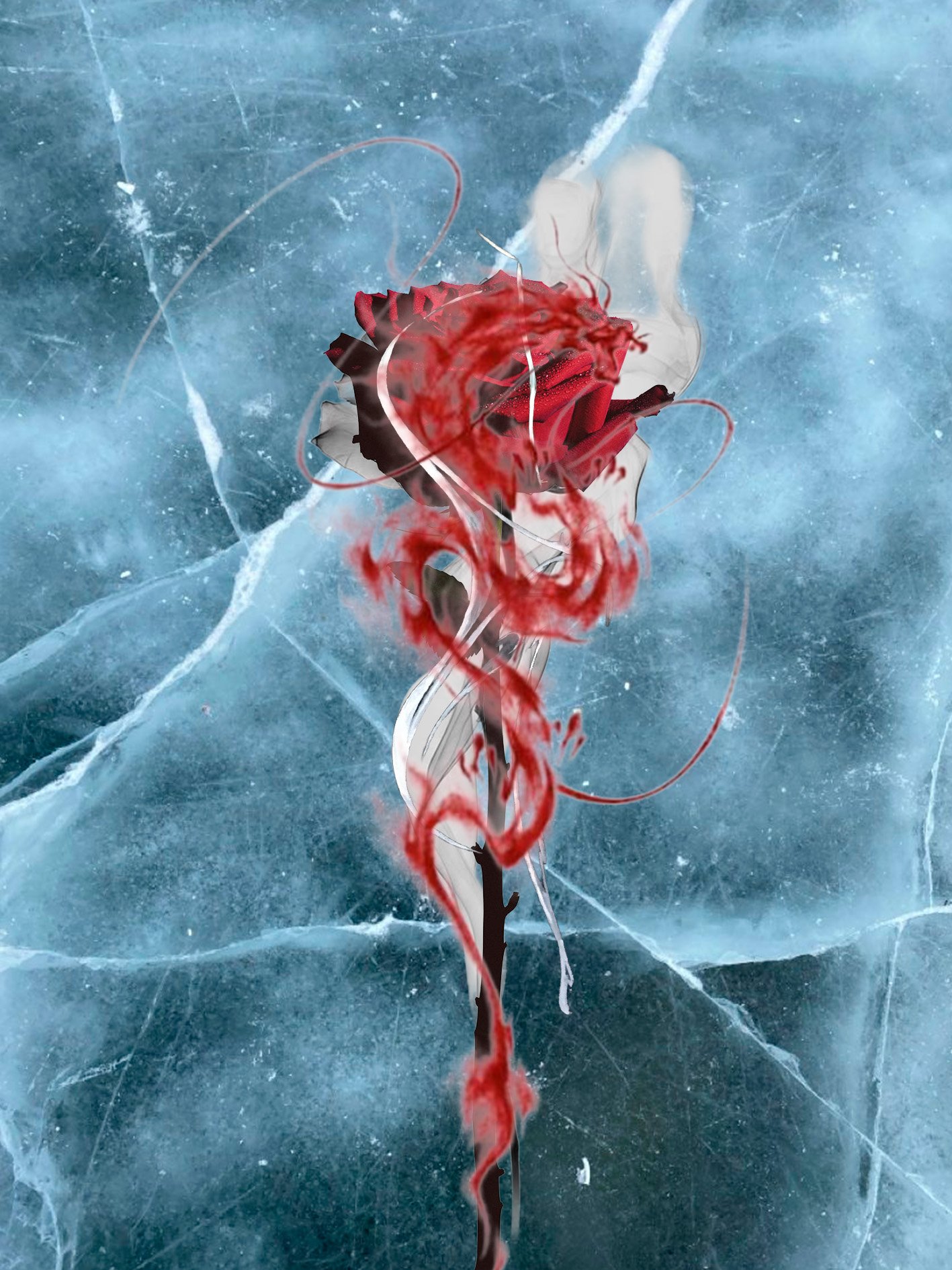 Rose.jpg
