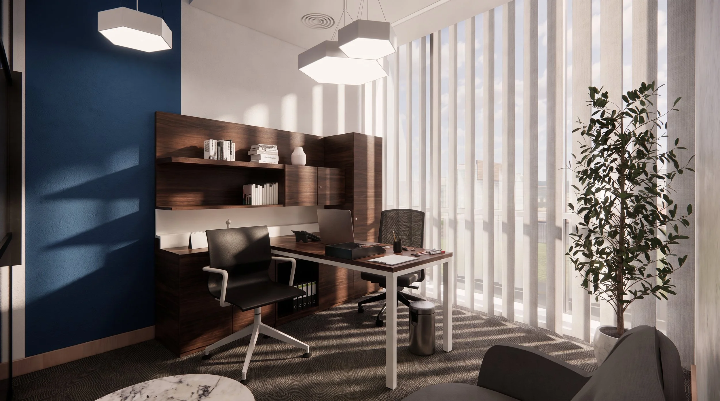 IIA Private Office 1.jpeg