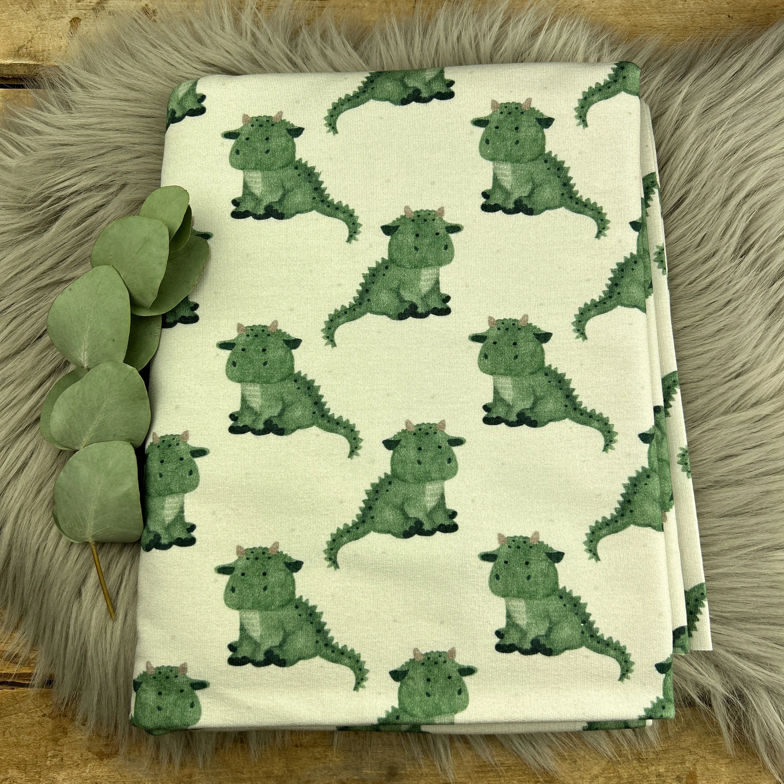 Bio French Terry Drache Onni / 018