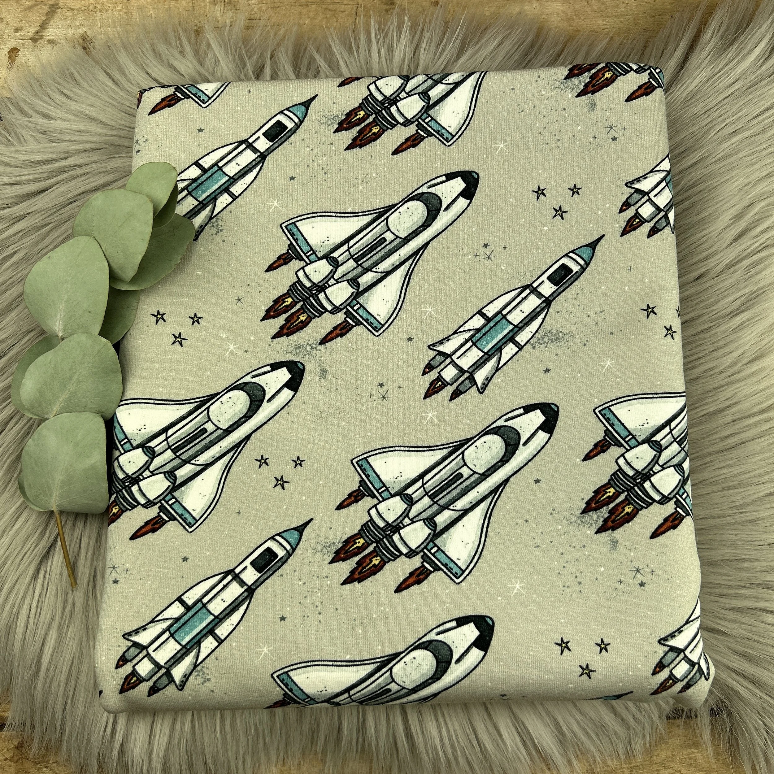 Bio French Terry Raketen  / 025