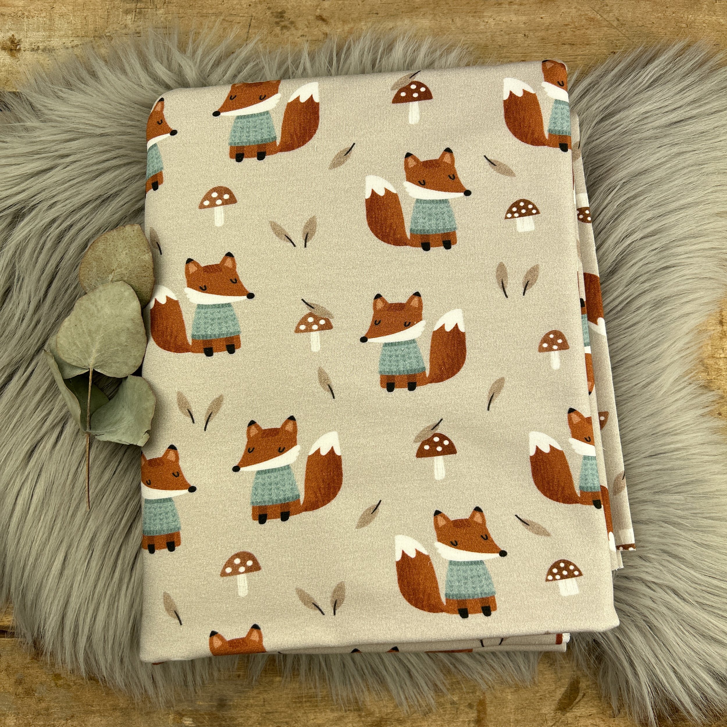 Bio French Terry Fuchs / 011