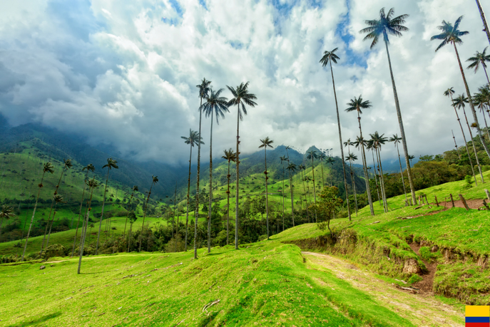 Tropical landscape with tall palm trees, lush green hills, and mountains in the background under a partly cloudy sky.