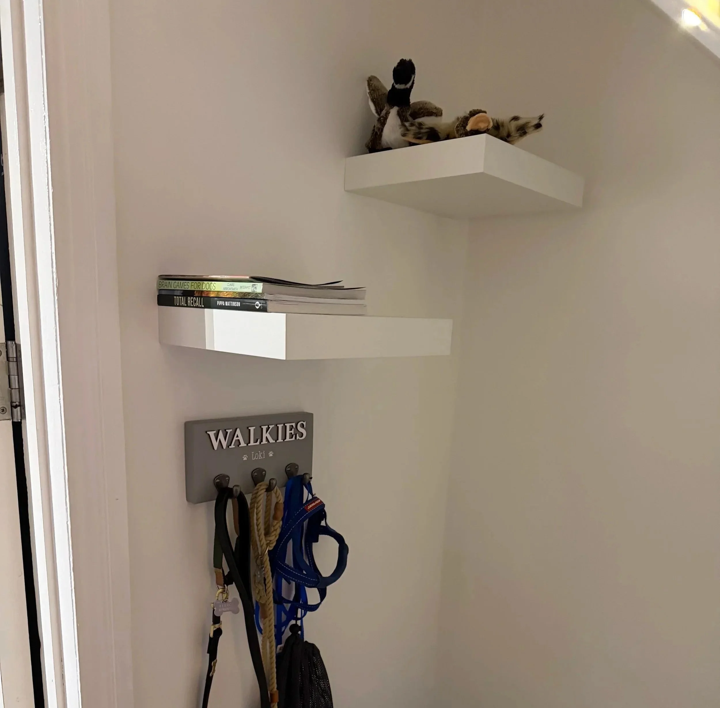 Shelving and wall hanger installation in Exeter