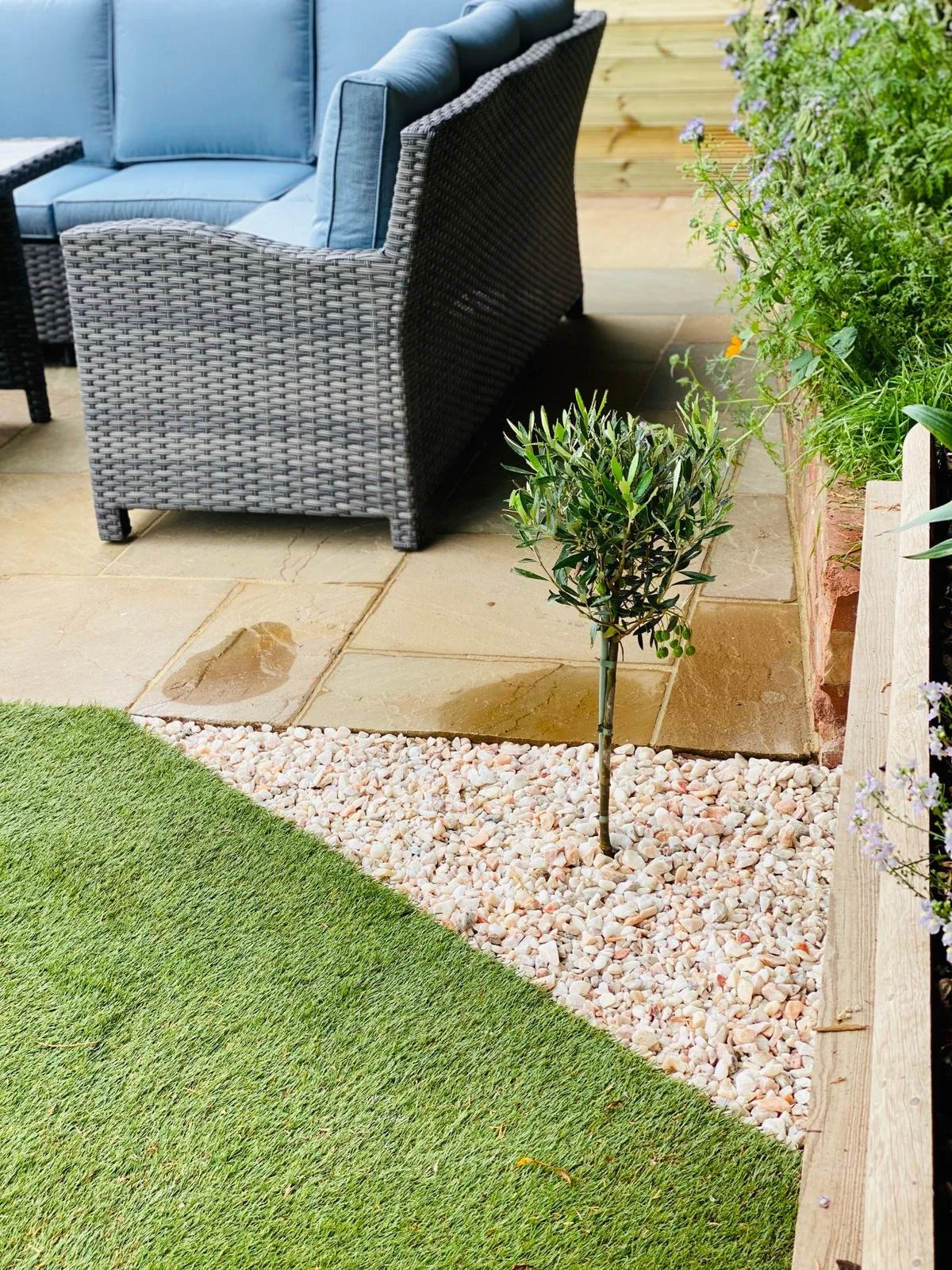 Backyard patio with gray wicker outdoor sofa featuring blue cushions, a small young tree planted in a gravel area, and a well-maintained grassy lawn.
