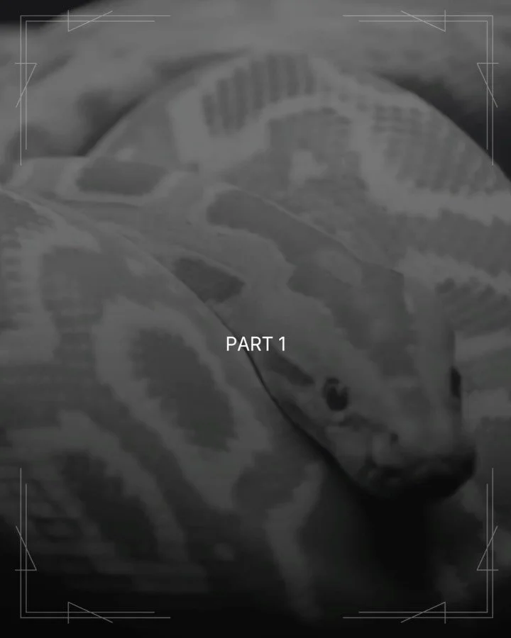 ✨ The Sinful Story pt.1 🐍✨

This started long before Sinful Studios ever existed&hellip;
When I first began performing and competing in pole, I had to choose a stage name 💫
Something that represented who I was becoming as a dancer.
So I started wit