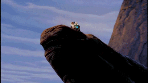 A lizard with a small iguana on its back sitting on a large rock formation against a daytime sky with clouds.
