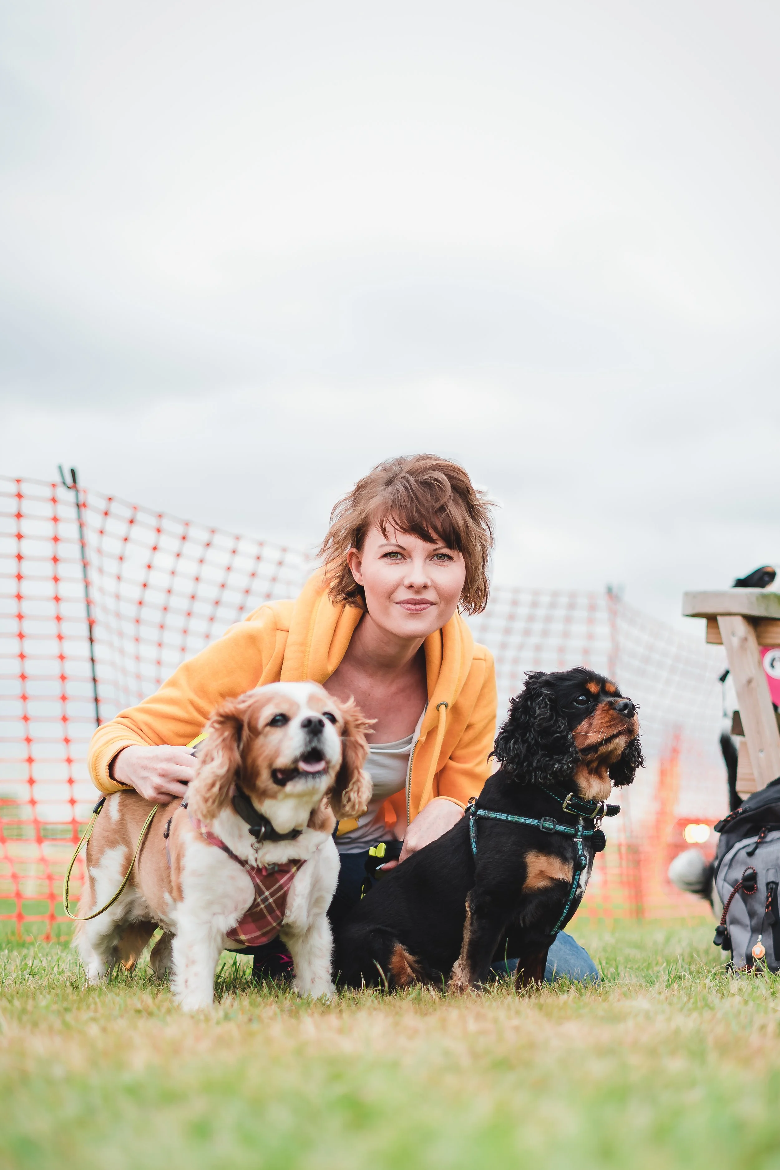 A woman crouching on grass with two dogs, one with brown and white fur and the other with black and brown fur, outdoors near an orange safety fence.