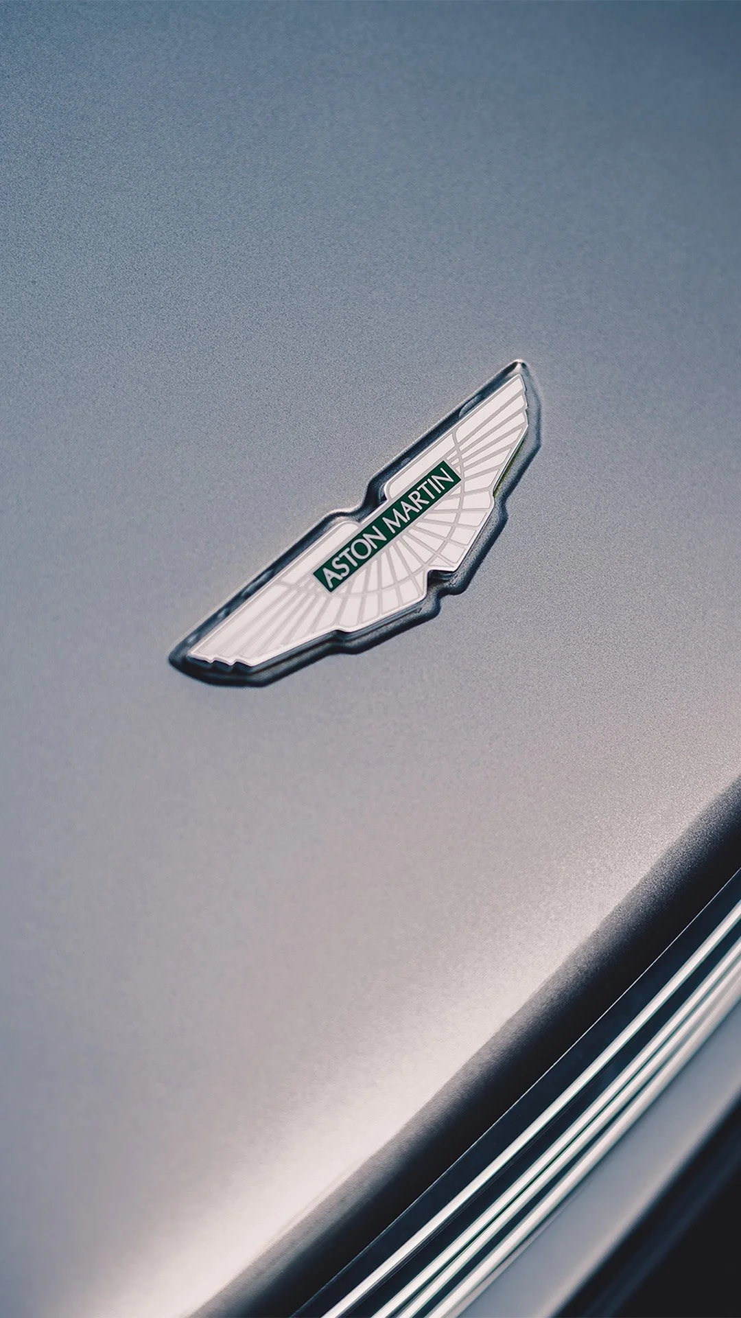 Close-up of an Aston Martin emblem on a metallic silver car.