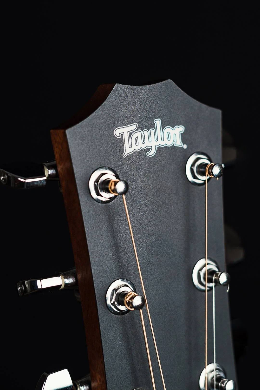 Close-up of a Taylor guitar headstock with silver tuning pegs and strings set against a black background.